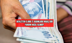 Devletten 5,000 TL Kadınlara Maaş Gibi Yardım Nasıl Alınır?