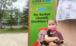 LÖSEV'den Sivas'a Mutlu Et paylaşımı