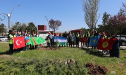 Türk Dünyası fidanları Sivas kampüsünde
