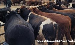Sivas Kurban Pazarı nereye kuruluyor? İşte cevabı!