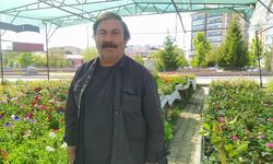 Sivas'ın Altın Değerindeki Toprağına Kim Sahip Çıkıyor? Şok Eden Gerçekler!