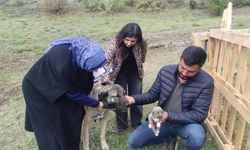 Sosyal medyada tepkilere neden olan o videonun tüm detayları
