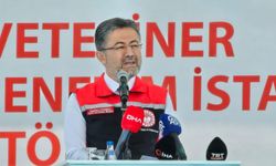 Türkiye'de 5 milyon 213 bin kurbanlık