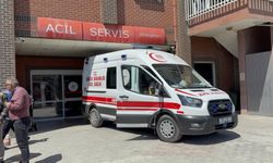 Koyulhisar'da küçük Metehan’ı hayattan koparan ısırık