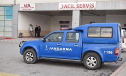 Yabani mantar yediler hastanede gözlerini açtılar
