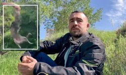 Tilkinin merakı başına dert oldu
