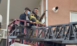 Fareden kurtulalım derken hastanelik oldular