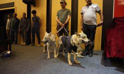SCÜ'de Akıllara Durgunluk Veren Panel! Gezgin! Fotoğrafçı! Vahşi Konuklar!