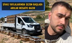 Sivas yaylalarında sezon başladı: Arılar mesaiye hazır
