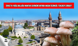 Sivas'ta Yağış Bolluğu Mantar Sevincini Artırdı Ancak Ölümcül Tehlikeye Dikkat!