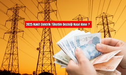 2025'te Nakit Elektrik Tüketim Desteği Nasıl Alınır?