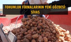 Tohumluk firmalarının yeni gözdesi: Sivas