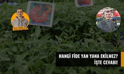 Hangi fide yan yana ekilmez? İşte cevabı!