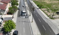 Sivas'a bahar eli değdi! Her yer pırıl pırıl!