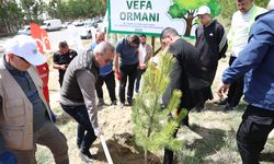 Vefa Ormanı’nda 535 can için 535 fidan dikildi