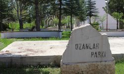 Sivas'ta ozanlar garip parklar da bir garip