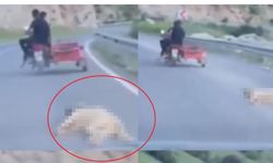 Motosikletin arkasında sürükledi ceza kaçınılmaz oldu