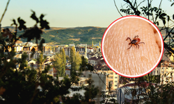 Sivas’ta Sessiz Tehlike Geri Döndü! Piknik Keyfi Ölümle Sonuçlanmasın
