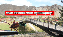 Sivas'ta Kene Korkusu Parklar Boş Vatandaş Endişeli