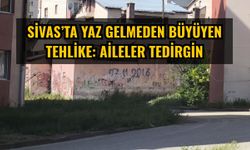 Sivas’ta yaz gelmeden büyüyen tehlike: Aileler tedirgin