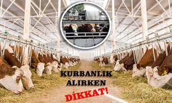 Tarım Cebimde Uygulamasıyla Kurbanlık bilgileri