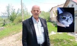 Sivas'ta gece sürprizi! Yavru baykuşla iç ısıtan anlar!