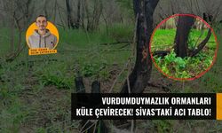 Vurdumduymazlık ormanları küle çevirecek! Sivas'taki acı tablo!