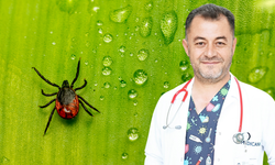 Çocuklarınızı Parka Gönderirken Dikkat !