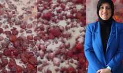 Geleneksel yöntemlerle yapılan reçel büyük ilgi görüyor