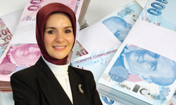 Aile Destek Ödemesi Yerine Vatandaşlık Maaşı Mı Geliyor !
