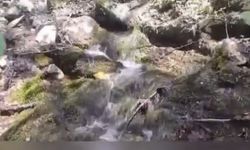 Sivas dikkat! Sular kesilecek! Peki hangi mahallelerde?