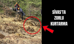 Sivas'ta Zorlu Kurtarma !