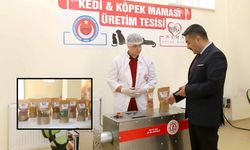 Kedi ve köpek mamaları işte bu okulda üretiliyor