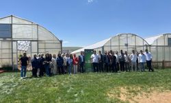 Yeşil Kampüs Hareketi'nde başarı