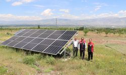 Güneş enerjili bahçede teknolojiyle ceviz yetişiyor