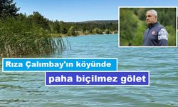 Rıza Hocanın köyünde müthiş gölet