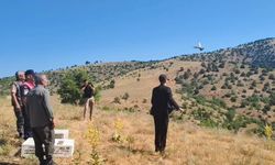 225 keklik doğaya salındı