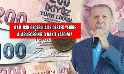 81 İl İçin Geçerli Aile Destek Yerine Alabileceğiniz 3 Nakit Yardım !