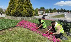 Sivas'ta Yaza Merhaba Operasyonu!
