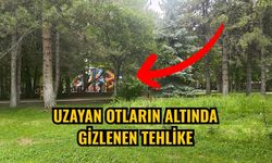 Uzayan otların altında gizlenen tehlike