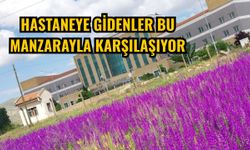 Hastaneye gidenler bu manzarayla karşılaşıyor