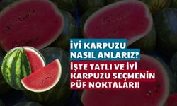 İyi Karpuzu Nasıl Anlarız? İşte Tatlı ve İyi Karpuzu Seçmenin Püf Noktaları!