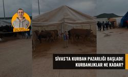 Sivas'ta Kurban Pazarlığı Başladı! Kurbanlıklar Ne Kadar?