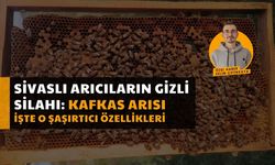 Sivaslı Arıcıların Gizli Silahı: Kafkas Arısı!