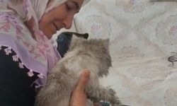 Sivas'ta Minik Dostumuzun İmdadına İtfaiye Yetişti