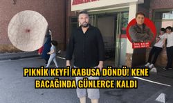 Piknik keyfi kabusa döndü! Kene bacağında günlerce kaldı