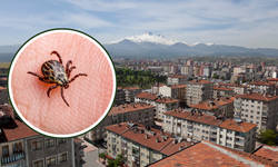 Sivas'tan Sonra Kayseri'de de Kene Alarmı Kayseri'de 1 Can Kaybı!