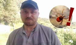 Keneler Köpekler Gibi Koku Mu alıyor? Sivas'ta O Anları Kayda Aldı!