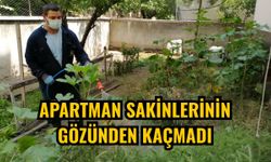Apartman sakinlerinin gözünden kaçmadı
