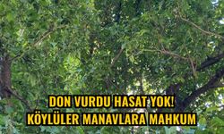 Don vurdu hasat Yok! Köylüler manavlara mahkum